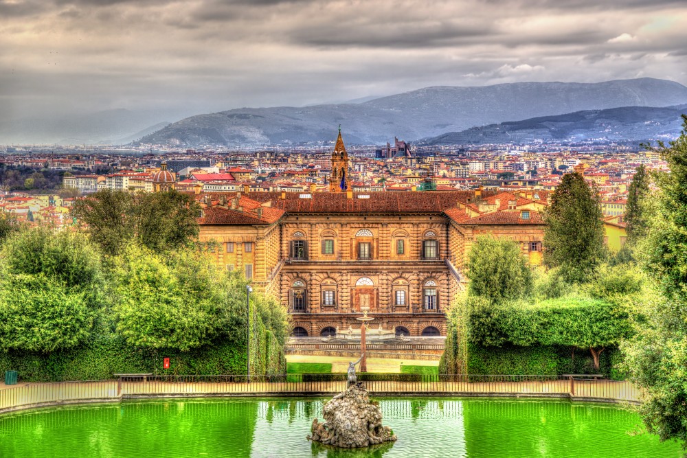 Palacio Pitti, Luca Pitti, Los Médicis y Eleonora de Toledo, Los Lorena